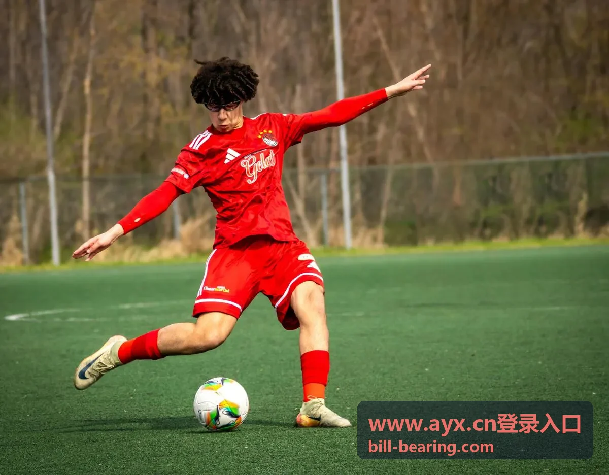 www.ayx.cn登录入口 多设备使用示意