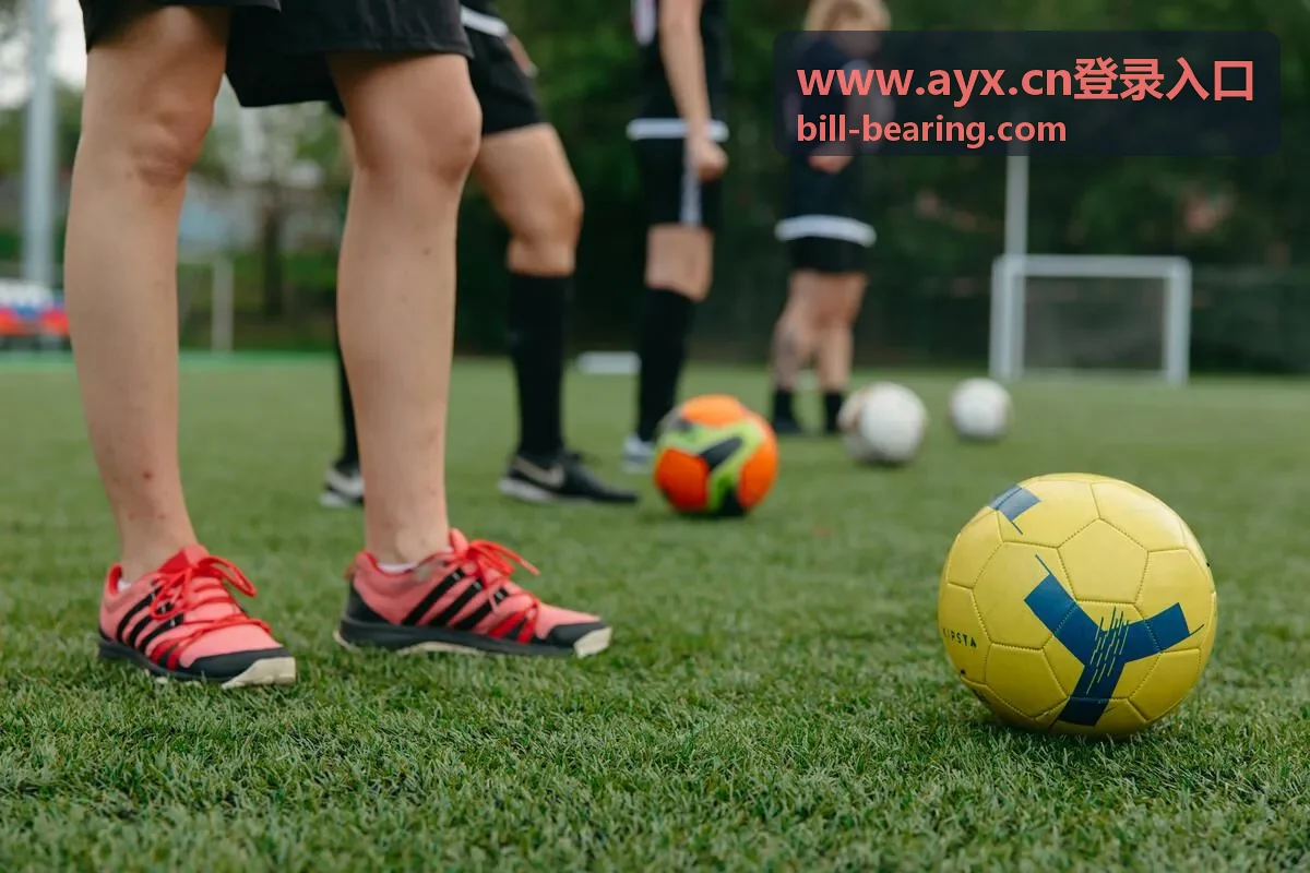 www.ayx.cn登录入口 校验提示文案统一后的样式